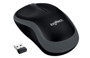 mouse